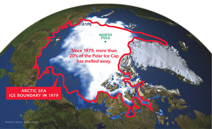 Melting Sea Ice